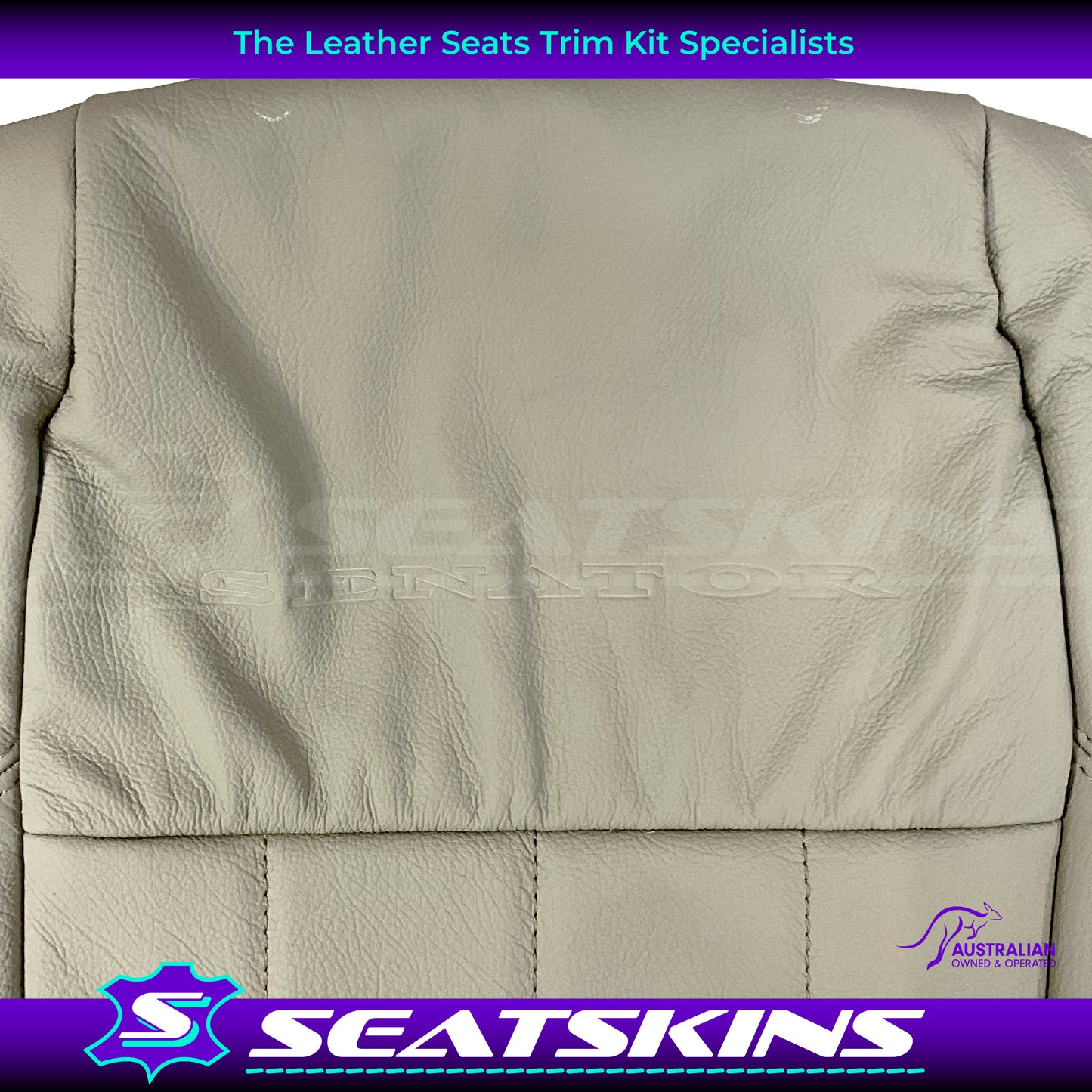 LEATHER SEATS TRIM KIT FOR HSV COULSON 2 SEATS HOLDEN HSV SENATOR VX COULSONS LIGHT SHALE