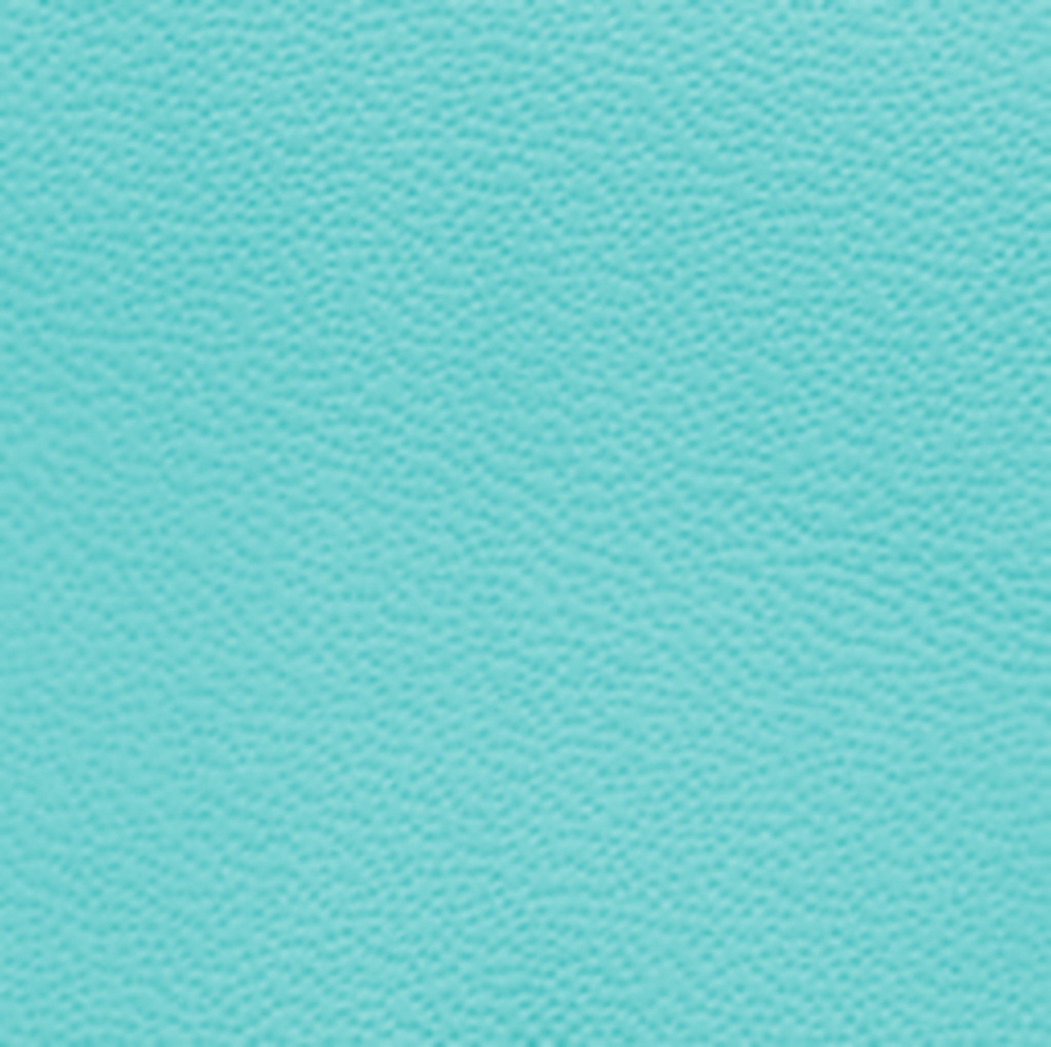 Z202132 SeatSkins Leather Trim Kits