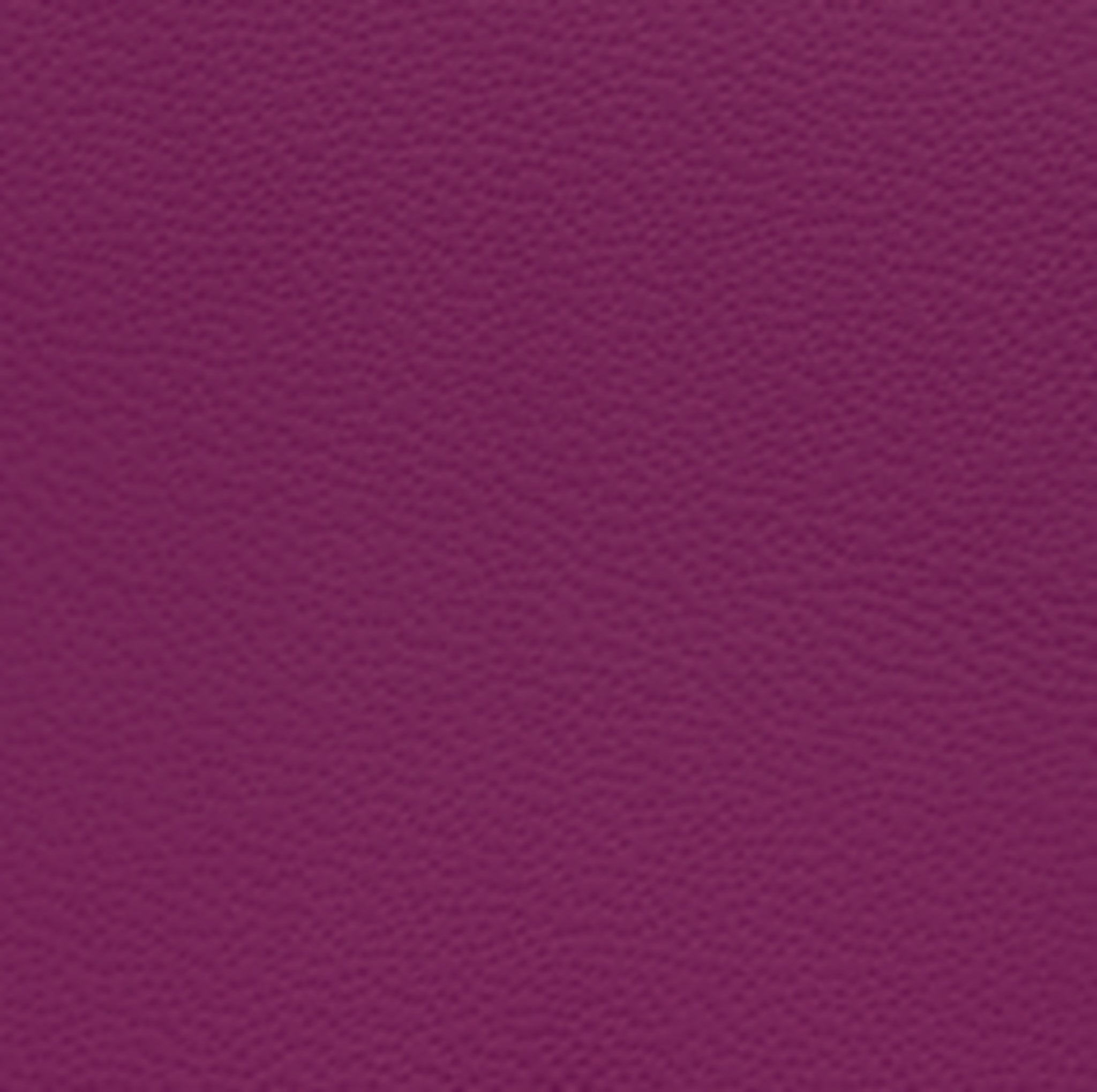 Z202155 SeatSkins Leather Trim Kits