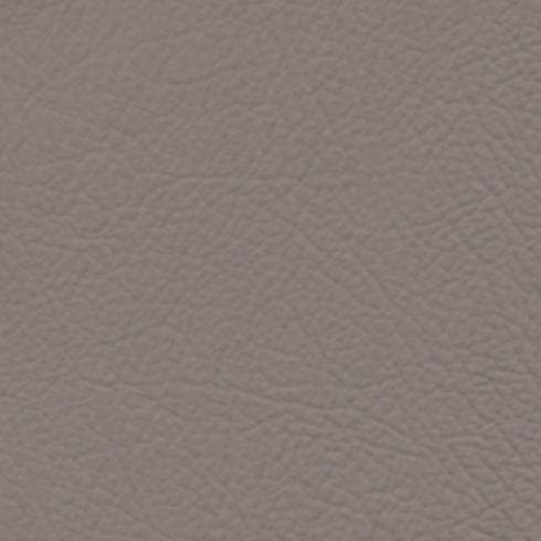 ZD3449ARR Light Shale