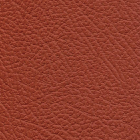 NP4441H Ignition Orange